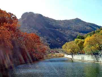 澳门天天彩期期精准平肖，马鞍山网站建设